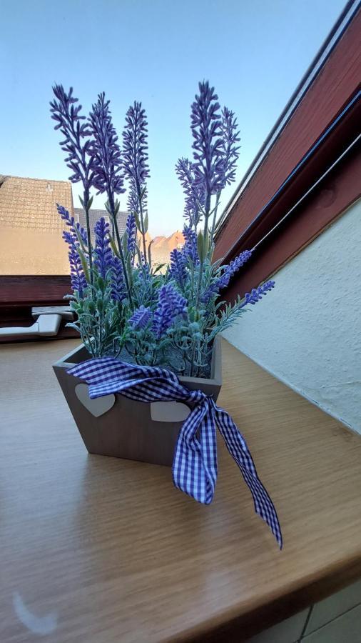 Ferienwohnung Weser ミンデン エクステリア 写真